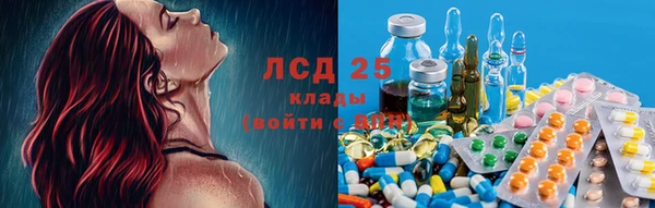 эйфоретик Арсеньев