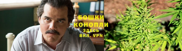 эйфоретик Арсеньев