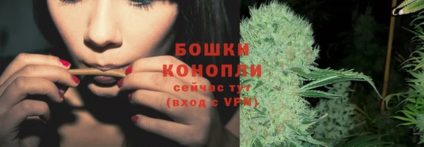 дурь Аркадак