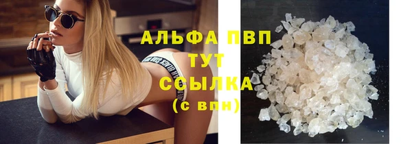 эйфоретик Арсеньев
