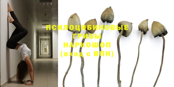 дурь Аркадак