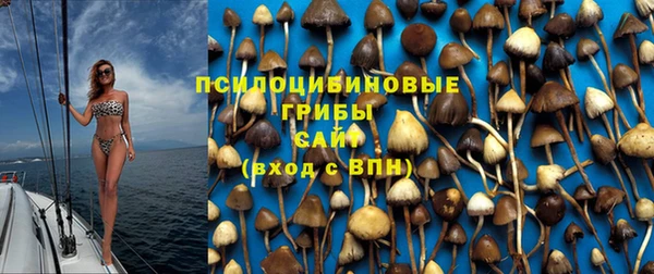 дурь Аркадак
