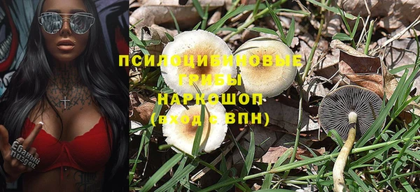 эйфоретик Арсеньев