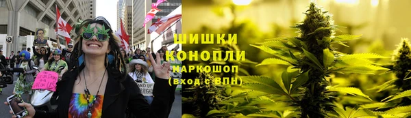 эйфоретик Арсеньев